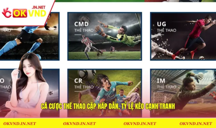 Cá cược thể thao cập hấp dẫn, tỷ lệ kèo cạnh tranh