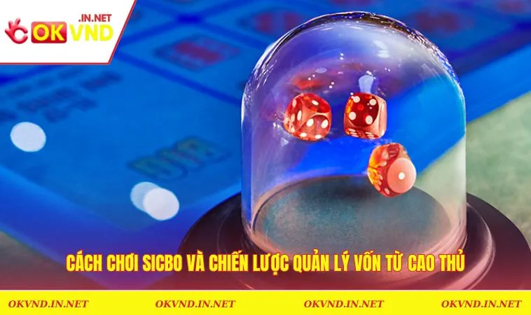Cách Chơi Sicbo Và Chiến Lược Quản Lý Vốn Từ Cao Thủ