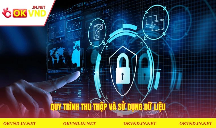 Quy trình thu thập và sử dụng dữ liệu