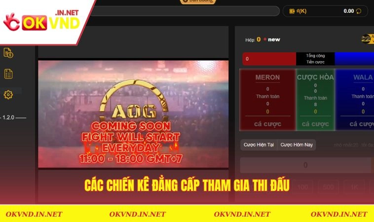 Các chiến kê đẳng cấp cùng nhau tham gia thi đấu