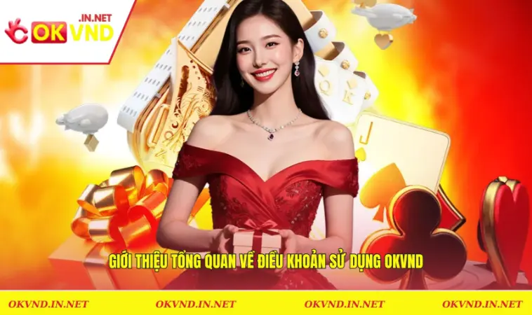 Giới thiệu tổng quan về điều khoản sử dụng OKVND