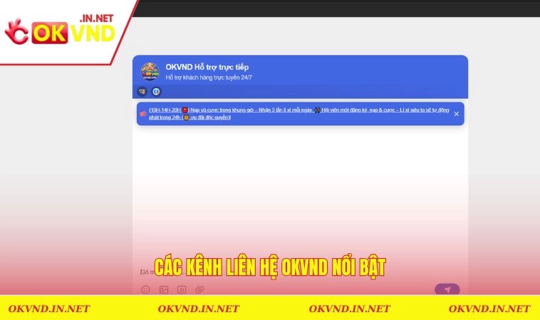 Các kênh liên hệ OKVND nổi bật