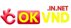 okvnd.in.net