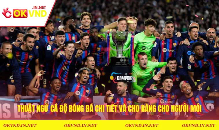 Thuật Ngữ Cá Độ Bóng Đá Chi Tiết Và Cho Ràng Cho Người Mới