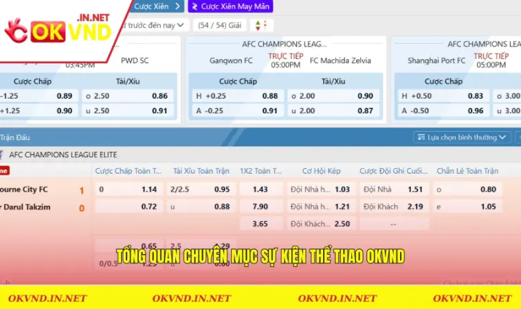 Sự Kiện Thể Thao OKVND 1 Tổng quan chuyên mục sự kiện thể thao OKVND