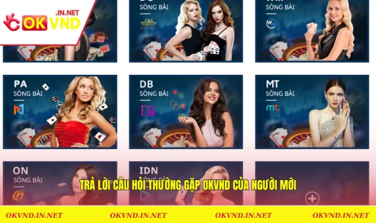 Trả lời câu hỏi thường gặp OKVND của người mới