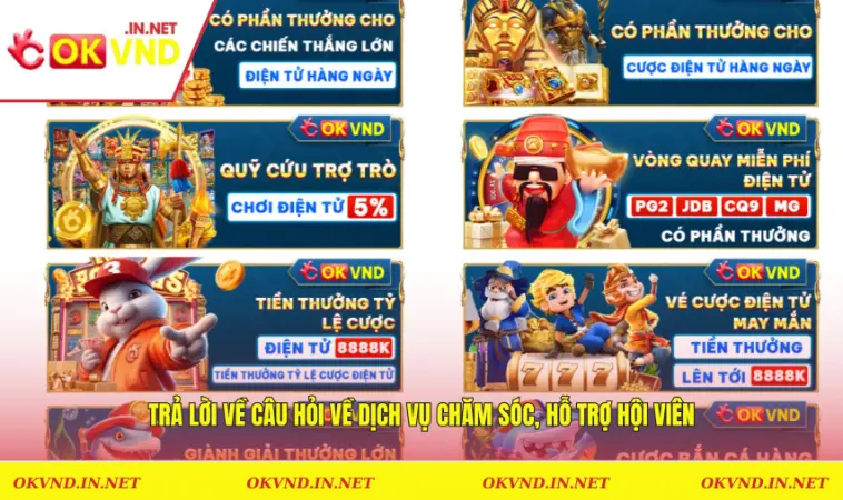 Trả lời về câu hỏi về dịch vụ chăm sóc, hỗ trợ hội viên
